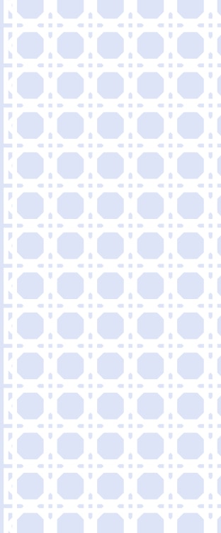 استشارة الخبراء